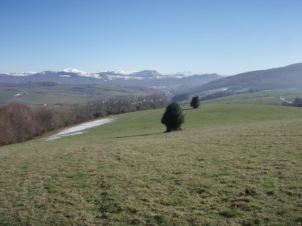 Casa Rural Irugoienea Espinal-Auzperri Exterior foto